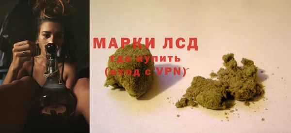 индика Нефтегорск