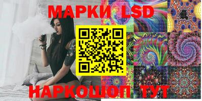 индика Камышлов