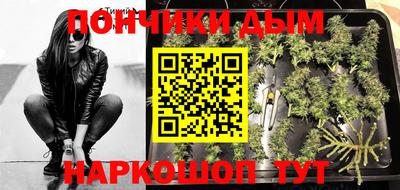 индика Волгодонск