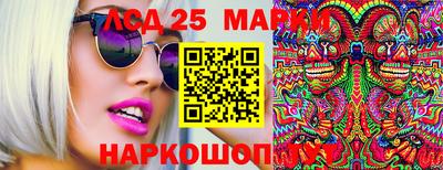 индика Беслан