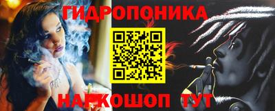 индика Беслан