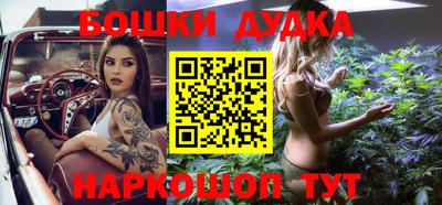 индика Беслан