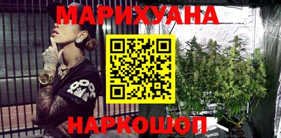 индика Беслан