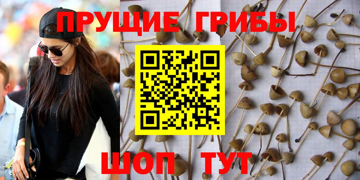 Псилоцибиновые грибы мухоморы  Галлюциногенные грибы Psilocybe  Вход с VPN  Долгопрудный 