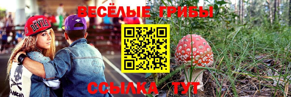 Псилоцибиновые грибы MAGIC MUSHROOMS Долгопрудный