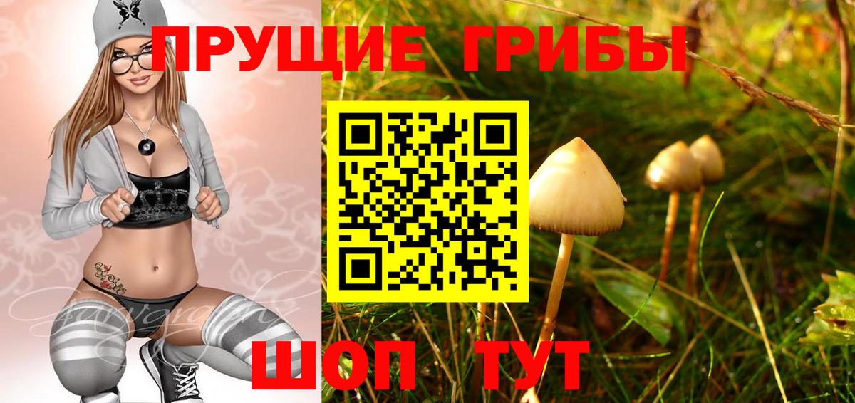 Псилоцибиновые грибы мухоморы Долгопрудный