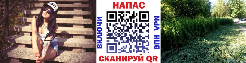 МАРИХУАНА MAZAR сколько стоит Долгопрудный